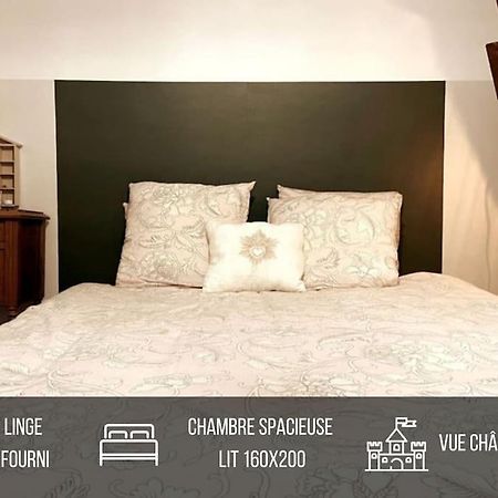 Grand Appartement Place Saint-Pierre, Proche Chateau De Saumur Et Bord De Loire" Exterior photo