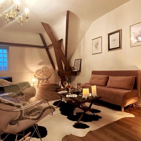 Grand Appartement Place Saint-Pierre, Proche Chateau De Saumur Et Bord De Loire" Exterior photo