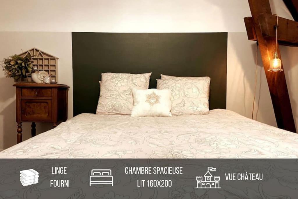 Grand Appartement Place Saint-Pierre, Proche Chateau De Saumur Et Bord De Loire" Exterior photo